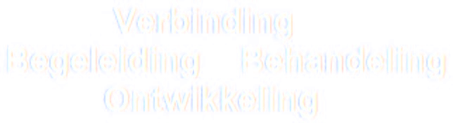 Verbinding, begeleiding, behandeling en ontwikkeling